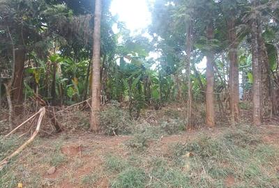 0.75 ac Land at Thindigua