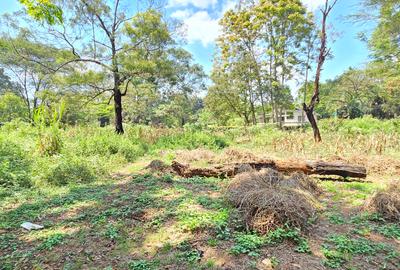 Residential Land at Spring Valley Lower Kabete - 3