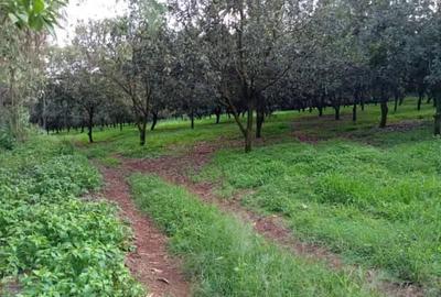 0.125 ac Land at Juja Gatundu Road