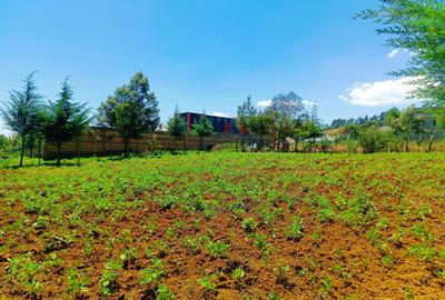 500 m² Residential Land at Runana Area