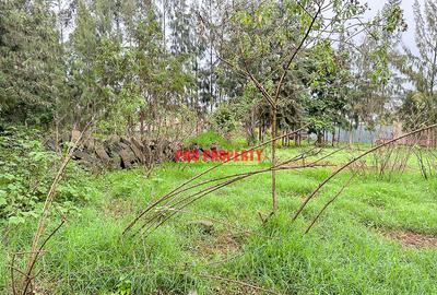 0.05 ha Commercial Land in Kikuyu Town