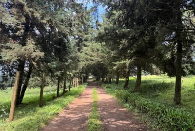 0.125 ac Land in Tigoni