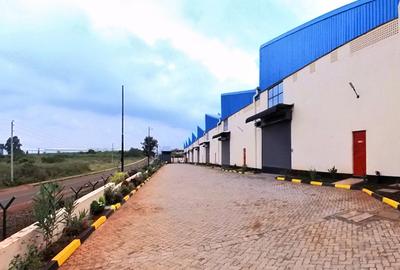 Warehouse in Tatu City
