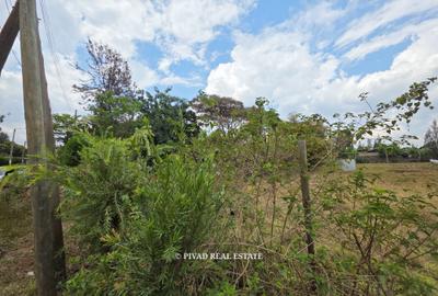 0.5 ac Land in Thome - 2
