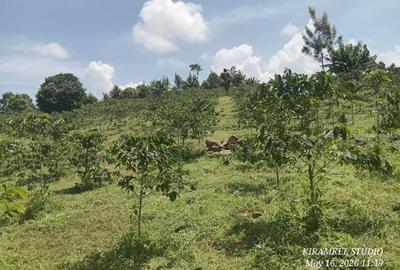 6.5 ac Land at Nandi Hills