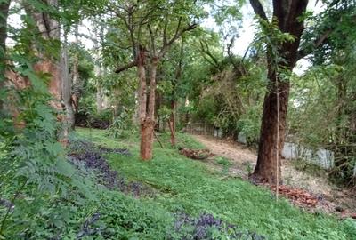 Residential Land at Othelo Lane