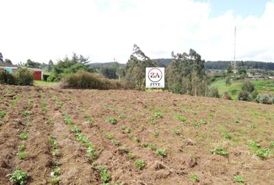 2.5 ac Land at Lari