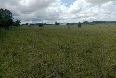 450 ac Land at Mbirika