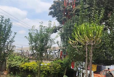 Commercial Land at Masaba Road - 4