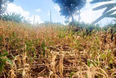 0.25 ac Commercial Land at Muthiga