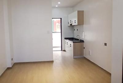 Studio Apartment with En Suite at Kindaruma Road - 2