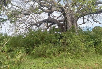 Land in Diani