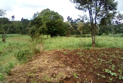 Land at Limuru