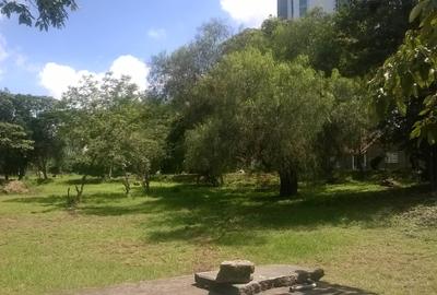 Land in Upper Hill