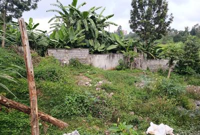 Land in Ruaka - 3