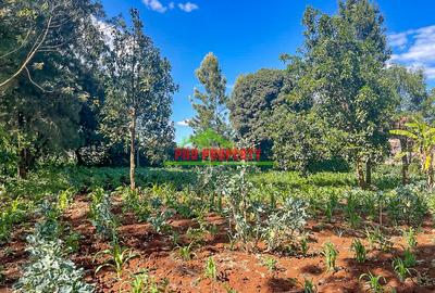 0.06 ha Commercial Land at Thogoto - 3