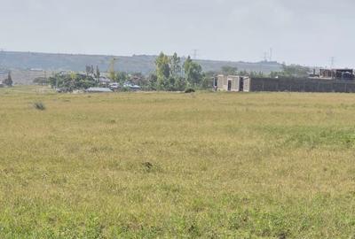 0.125 ac Residential Land at Kitengela Milimani - 3