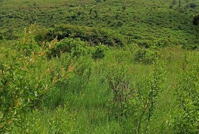 500 ac Land at Makuyu - 2