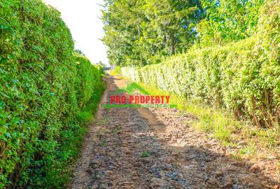 0.1 ha Residential Land at Lusigetti