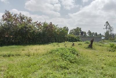 Commercial Land at Gatongora - 4
