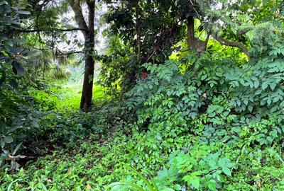2.4 ac Land at Tigoni