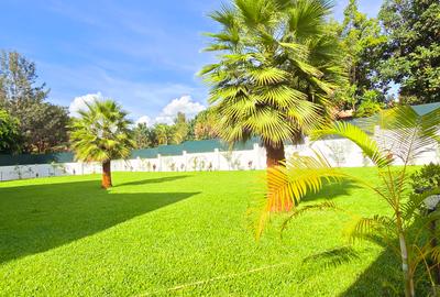 Commercial Property with Backup Generator at Panafrican Road - 4