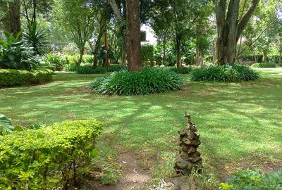 Land in Muthaiga - 4