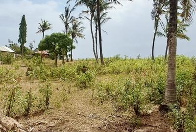 Land in Kilifi - 3