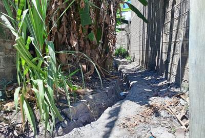 3 Bed House with Swimming Pool in Komarock - 2