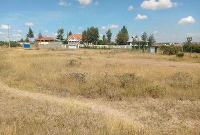 Commercial Land at Chuna - 3