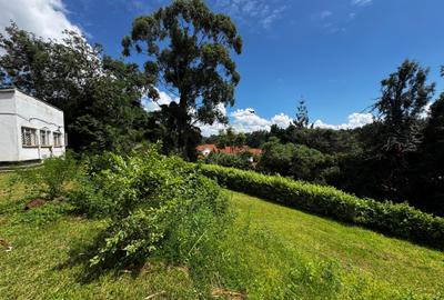 1 ac Commercial Property with Parking in Riverside