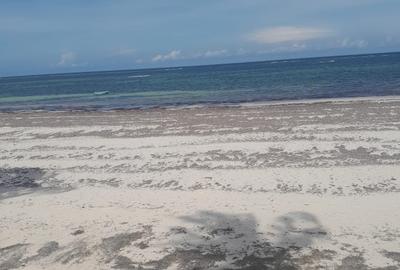 20 ac Land in Diani