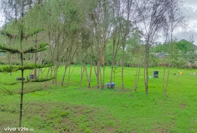 0.25 ac Land at Kerarapon Drive - 3