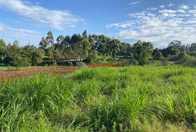 6,000 m² Land in Limuru