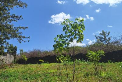 0.125 ac Residential Land at Runda - 4
