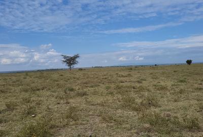 100 ac Land at Athiriver - Epz - 4