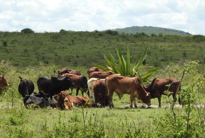 3,238 m² Residential Land in Athi River