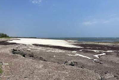 2 ac Land at Ls217 - 3