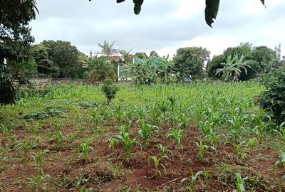 Land at Mimosa Road - 4