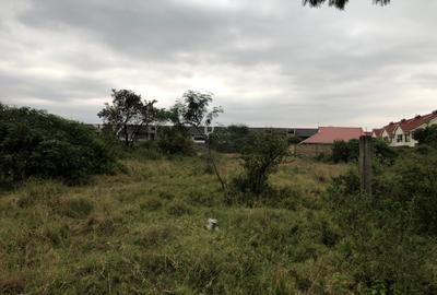 1.25 ac Land at Kamakis