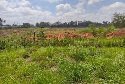 Land in Muthaiga - 4