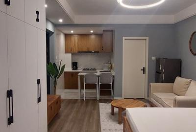 Furnished Studio Apartment with Swimming Pool in Kilimani