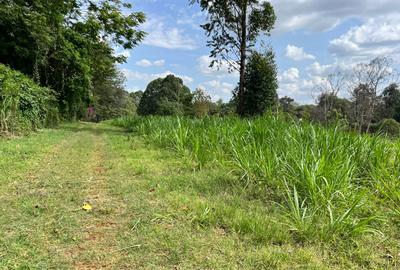 Residential Land at Westlands - 2