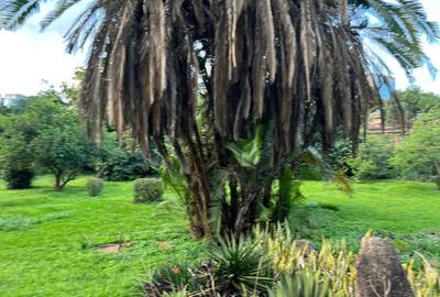 Commercial Land at 30 - 2