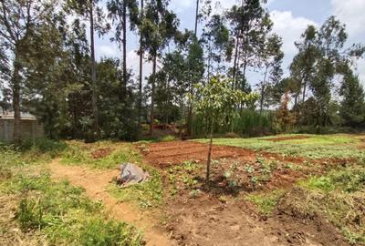 Land in Loresho - 2