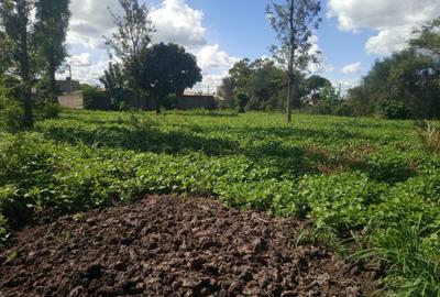 1.25 ac Land at Kamakis