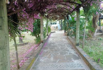 10 Bed Villa with En Suite at Central - 2