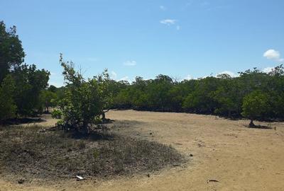 56,658 m² Commercial Land at Funzi Island