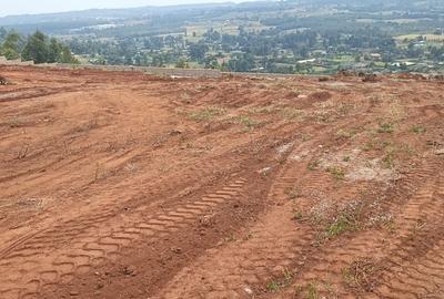 ccbd5216-bfe1-4307-bc9d-cde4dc4237b1