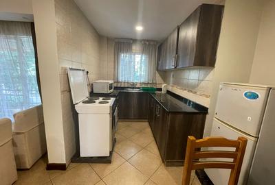 Serviced Studio Apartment with Swimming Pool at Karuna Road - 4